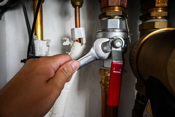 Best Residential Plumbing Services  in South Whittier, CA